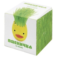 ����� ���������� �������� ����� �������� �� ����� 90 ��