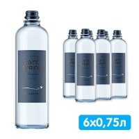 Вода Святой Источник Резерв / Saint Spring Reserve 0.75 литра, газ, стекло, 6 шт. в уп.