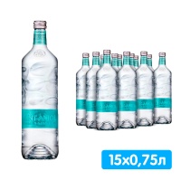 Вода Сант Аниол / Sant Aniol 0.75 литра, без газа, стекло, 15 шт. в уп.