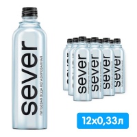 ���� Sever 0.33 �����, ��� ����, ������, 12 ��. � ��.