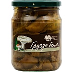 ������ ������ ���� ����� 500 ��