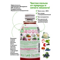 Сокосодержащий напиток Фитогуру / Fitoguru черника, виноград, бархатцы 0.33 литра, стекло, 12 шт. в уп.