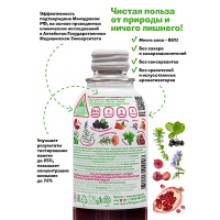 Сокосодержащий напиток Фитогуру / Fitoguru гранат, рябина, мелисса 0.33 литра, стекло, 12 шт. в уп.