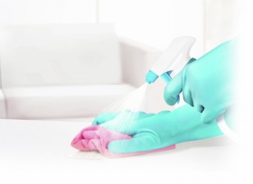 �������� Paclan Extra Dry ������ L