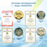 Вода минеральная лечебно-столовая Бишули 1 литр, газ, пэт, 6 шт. в уп.