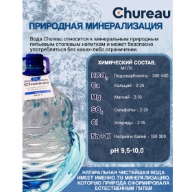 ���� Chureau 18.9 ������ � ����������� ����