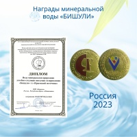 Вода минеральная лечебно-столовая Бишули 1 литр, газ, пэт, 6 шт. в уп.