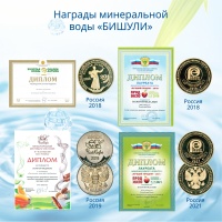 Вода минеральная лечебно-столовая Бишули 1 литр, газ, пэт, 6 шт. в уп.