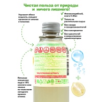 Напиток Фитогуру / Fitoguru Вода плюс Детокс Лимон 0.33 литра, стекло, 12 шт. в уп.