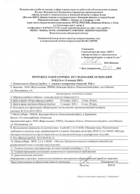 ���� ����������� Vorgol �� ������� 0.33 �����, ��� ����, ���, 15 ��. � ��.