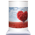 ����� �� ������ ��� ������ ������-������