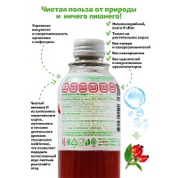 Напиток Фитогуру / Fitoguru Вода плюс Иммуно Шиповник 0.33 литра, стекло, 12 шт. в уп.