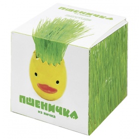 ����� ���������� �������� ����� �������� �� ����� 90 ��