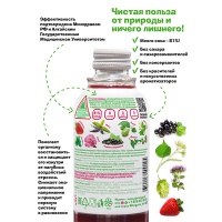 Сокосодержащий напиток Фитогуру / Fitoguru клубника, мята 0.33 литра, стекло, 12 шт. в уп.