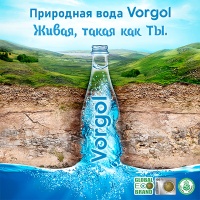 Вода Воргольская Vorgol 0.33 литра, без газа, пэт, 15 шт. в уп.